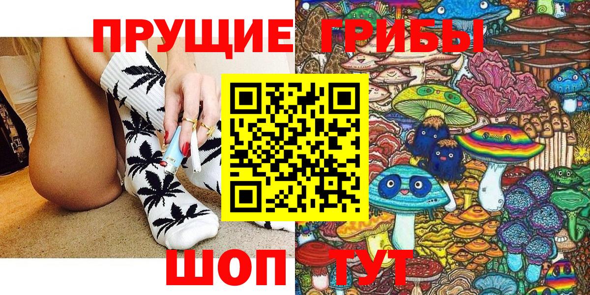 Галлюциногенные грибы Psilocybine cubensis Бузулук